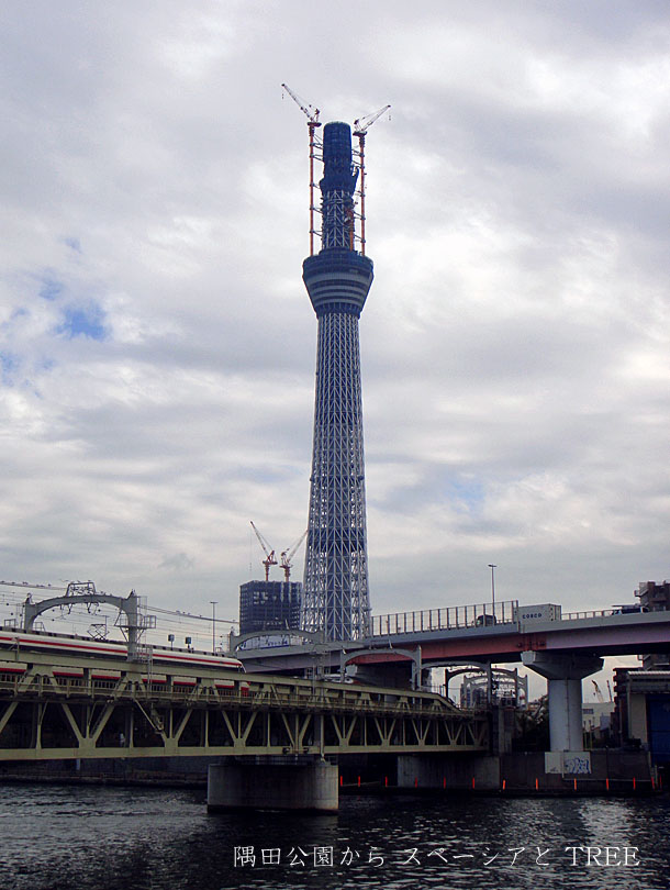 e0185645_20212233.jpg