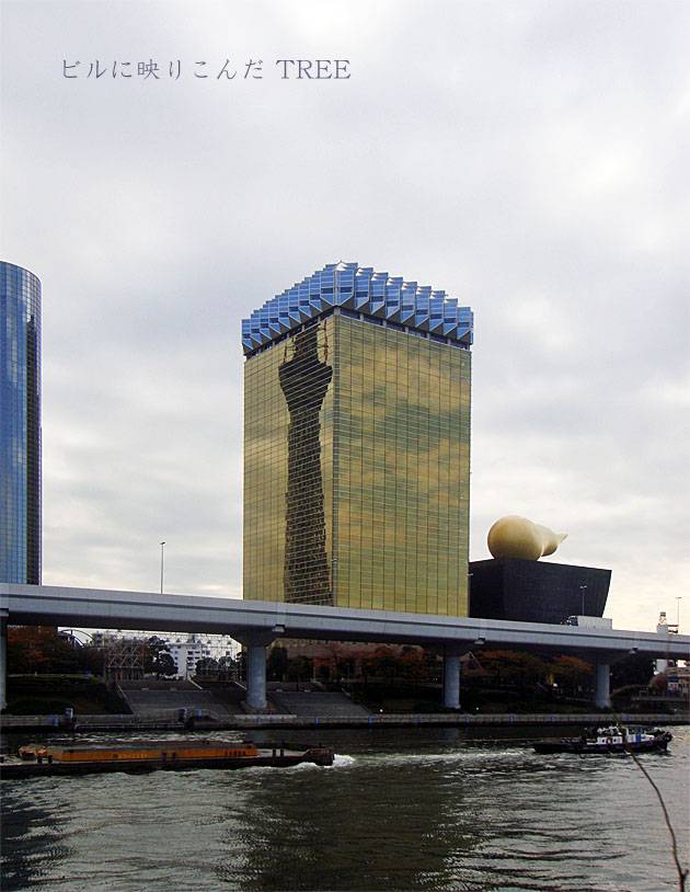 e0185645_20213129.jpg