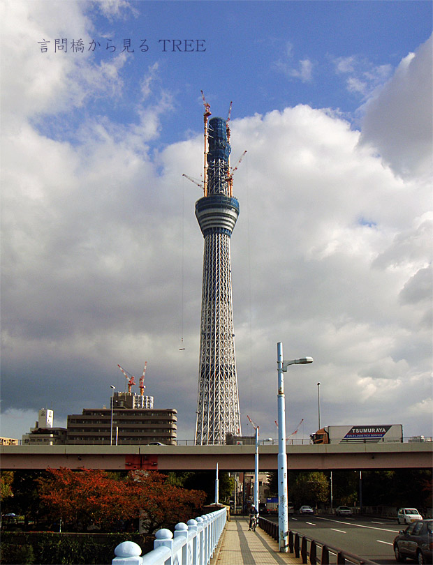 e0185645_20213993.jpg
