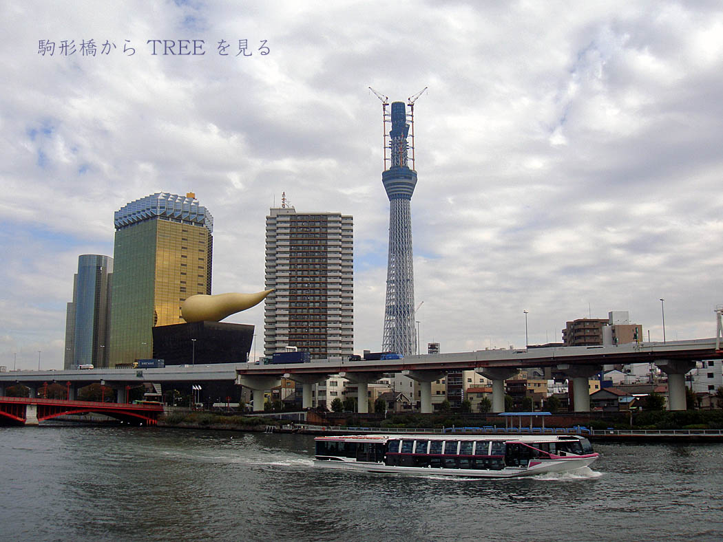 e0185645_2021633.jpg