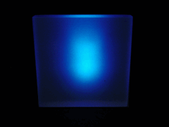 e0005548_2244014.gif