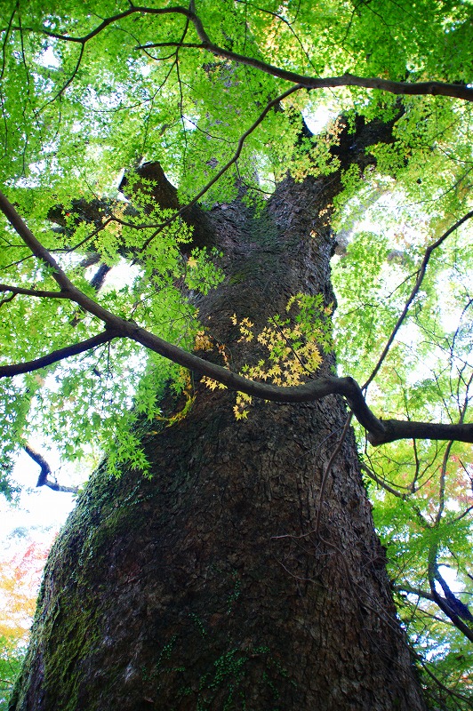 f0201348_11285943.jpg