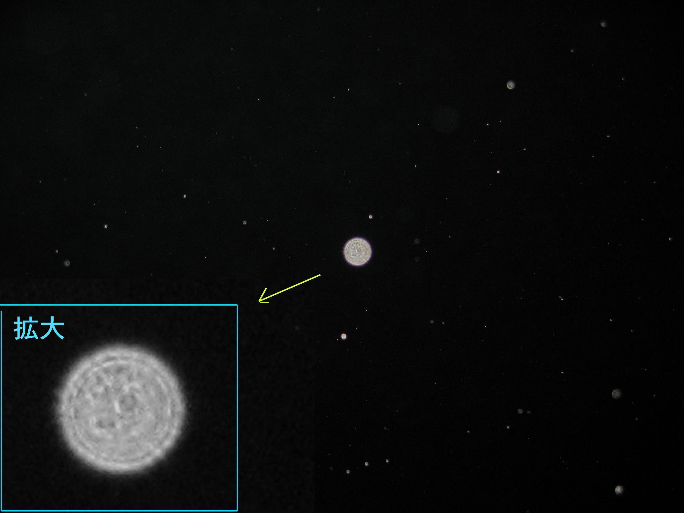 d0075649_835841.jpg