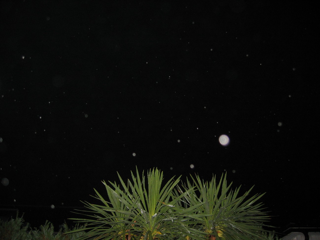 d0075649_8365617.jpg
