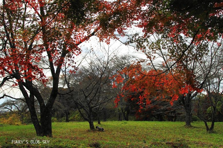 c0145250_186442.jpg