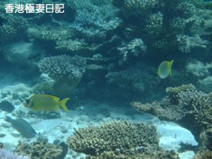 f0190653_17241226.jpg