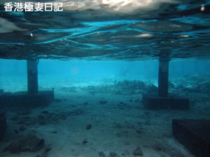 f0190653_17241567.jpg