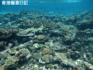 f0190653_1724254.jpg