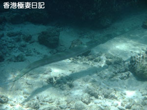 f0190653_17243130.jpg
