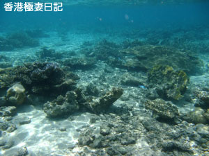 f0190653_17243920.jpg