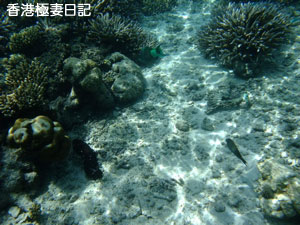 f0190653_17244665.jpg