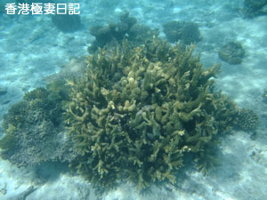 f0190653_17245950.jpg
