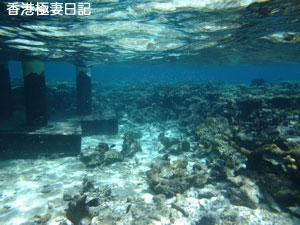 f0190653_1724948.jpg