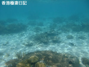 f0190653_1740978.jpg
