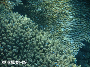 f0190653_20565929.jpg