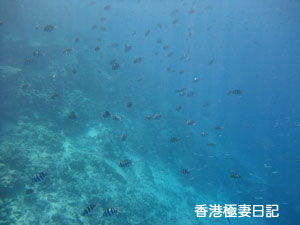f0190653_205714100.jpg