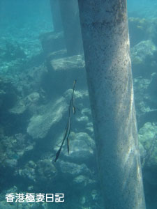 f0190653_20571850.jpg