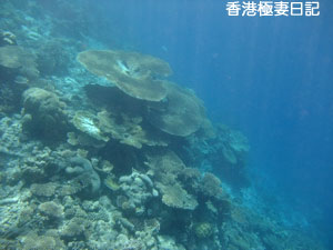 f0190653_20572252.jpg