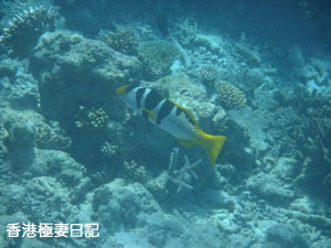 f0190653_20572667.jpg