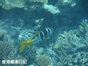 f0190653_20573066.jpg
