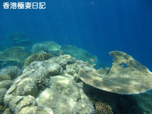 f0190653_2057342.jpg