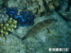 f0190653_20574116.jpg
