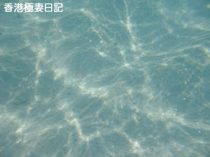 f0190653_20581872.jpg