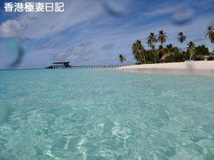 f0190653_20583859.jpg