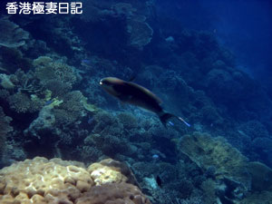 f0190653_2101975.jpg