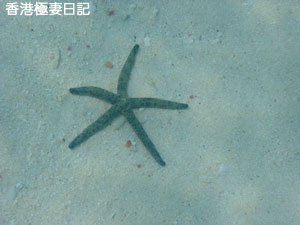 f0190653_21105.jpg