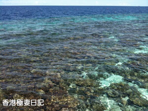 f0190653_9503939.jpg