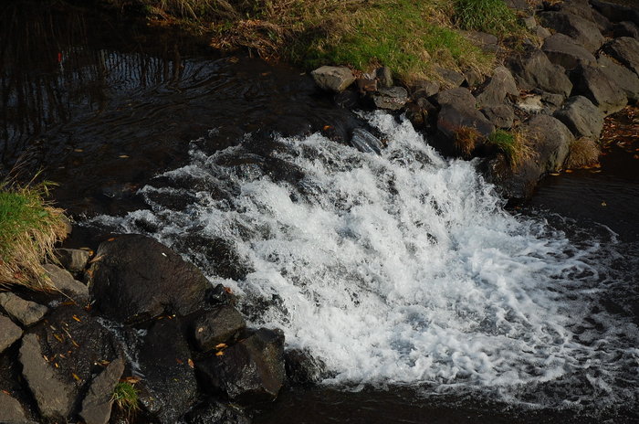 f0114954_6275877.jpg