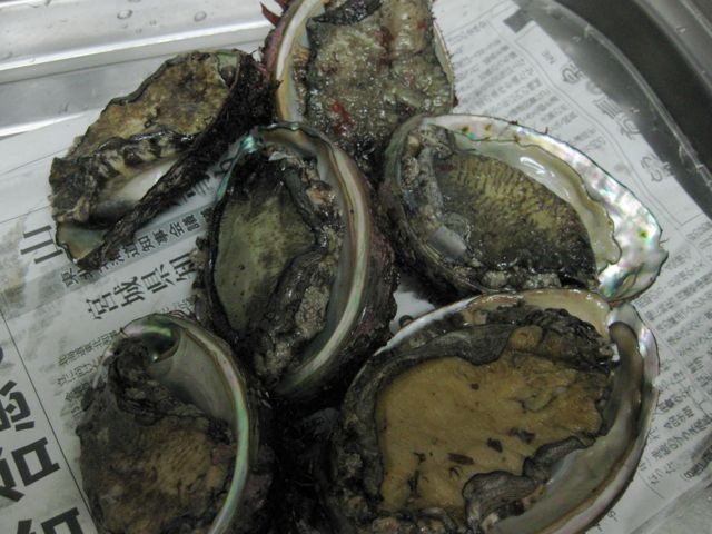 a0154962_23104750.jpg