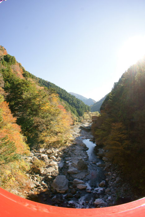 a0077663_18271357.jpg