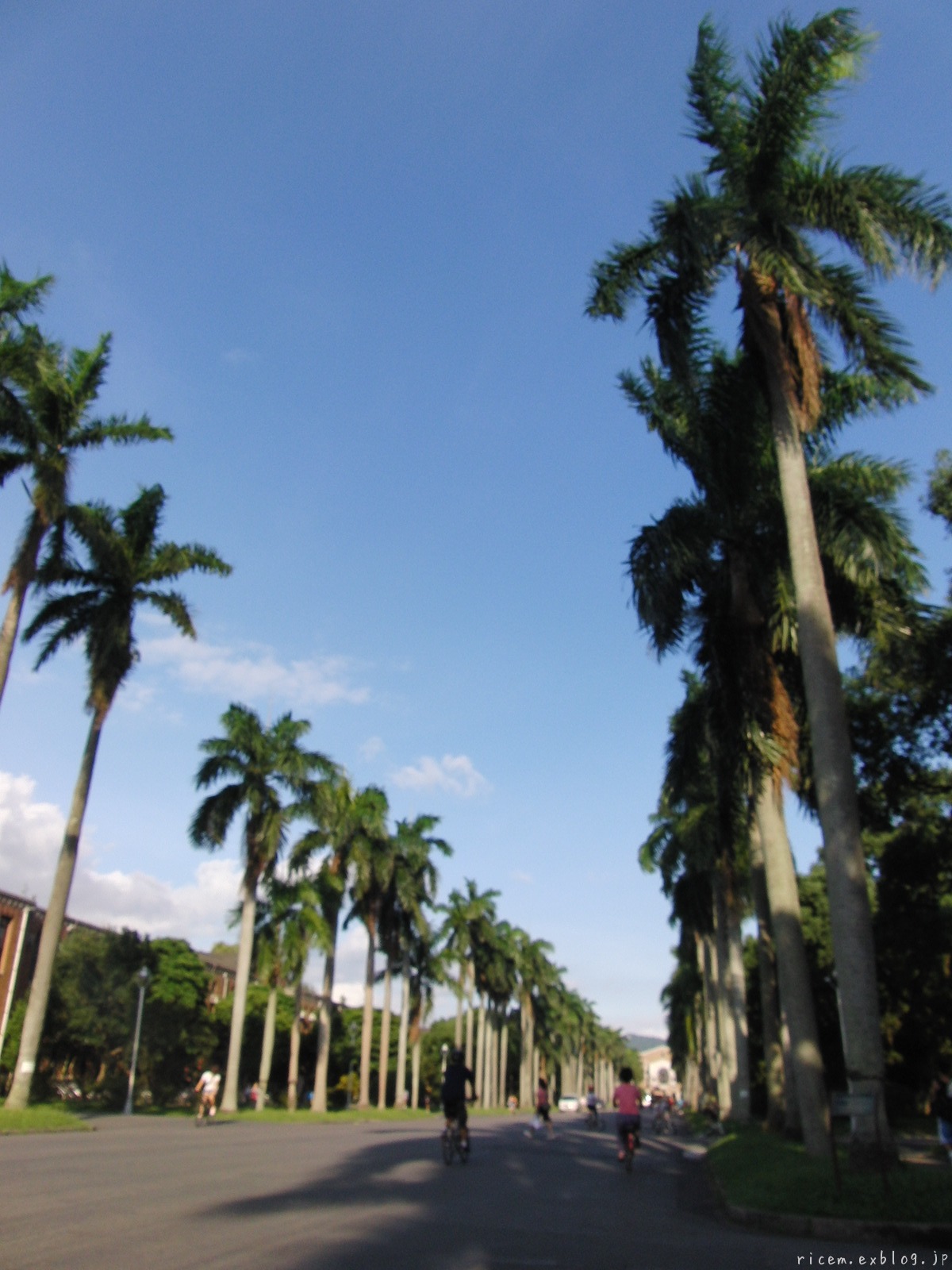 c0127366_23334544.jpg