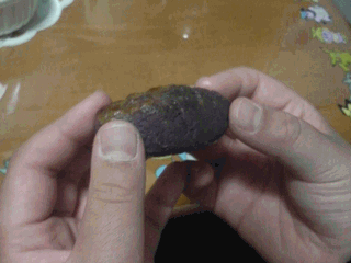 f0065167_1312070.gif