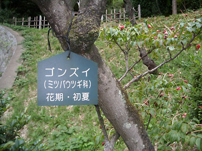e0097770_1722751.jpg