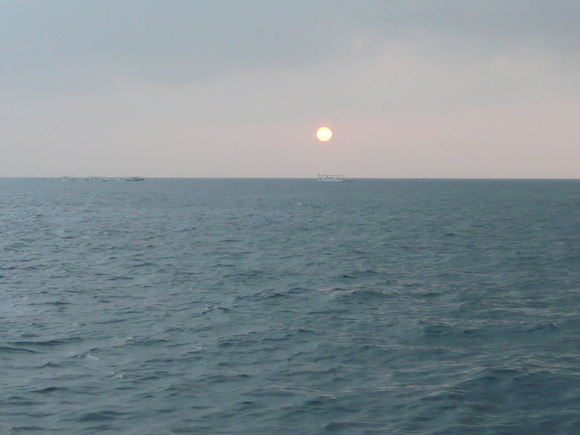a0120877_1640570.jpg