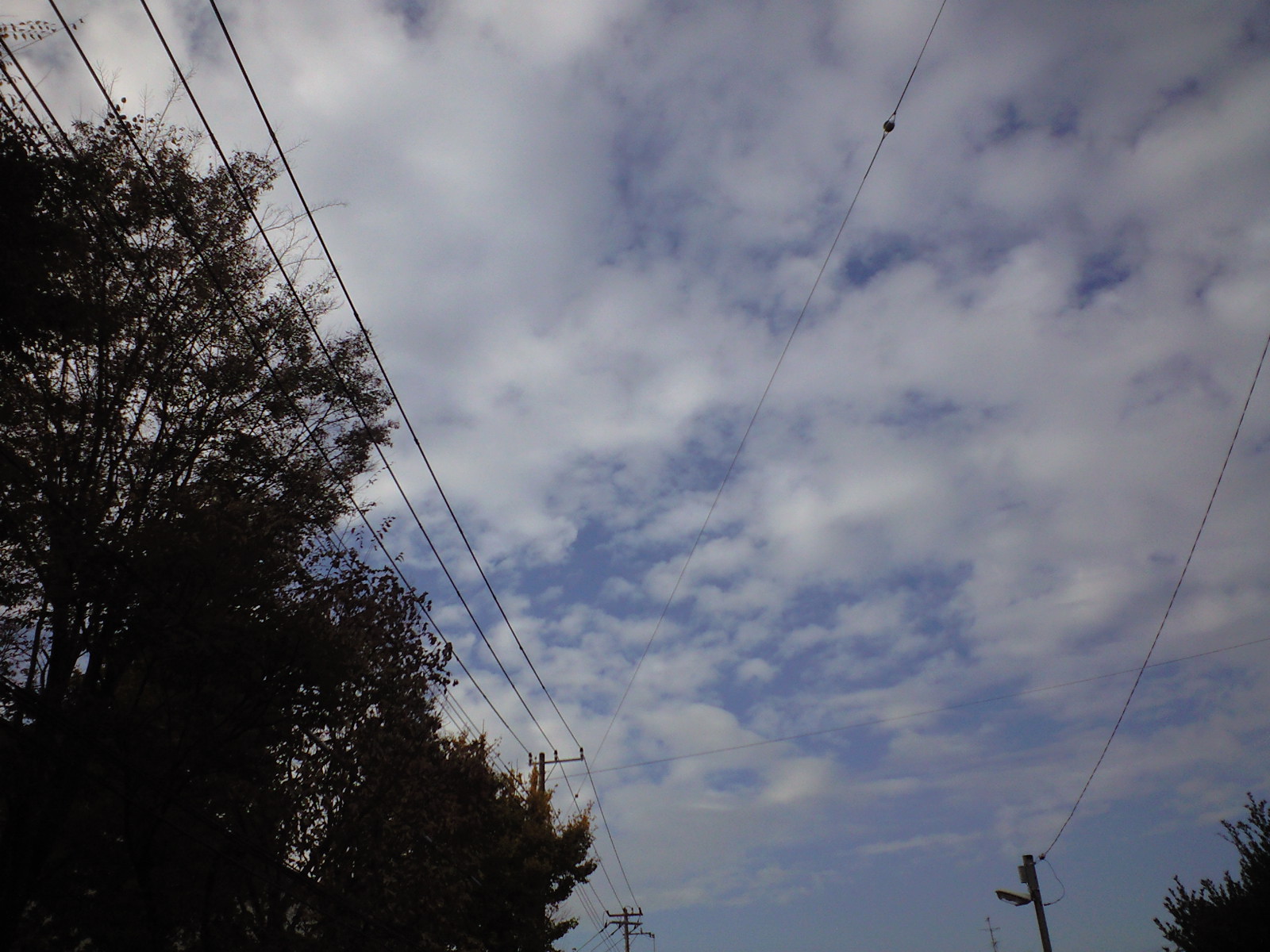 a0152078_18201043.jpg