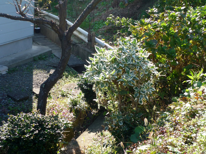 c0125283_11162462.jpg