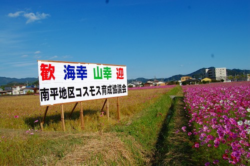 d0114583_19421324.jpg