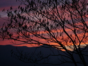 e0150087_22572685.jpg