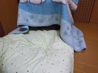 c0123890_2155091.jpg