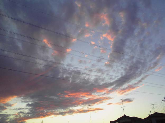 c0004193_17365714.jpg
