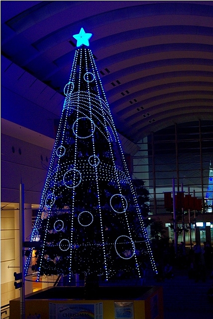 c0125596_2218742.jpg
