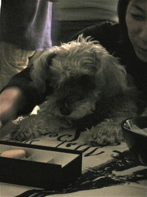 d0157596_14141268.jpg