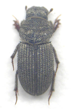 e0083097_2271527.jpg