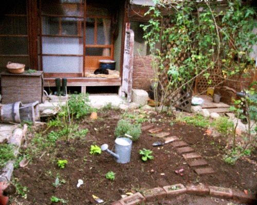 d0077603_12275161.jpg