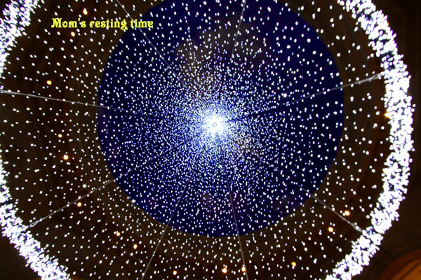 d0157704_18591439.jpg
