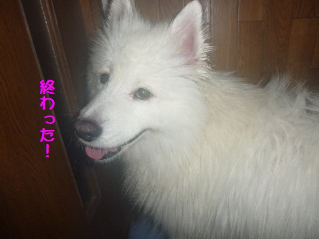 e0018604_12313413.jpg
